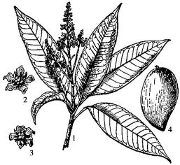 pagenumber_ebook=100,pagenumber_book=100