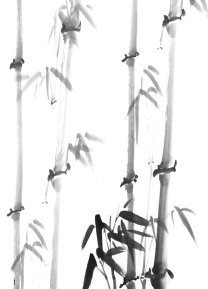 pagenumber_ebook=243,pagenumber_book=243