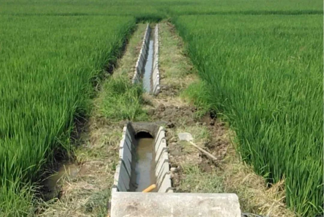 13 13.jpg?v=1765880883426