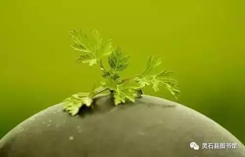 20170901111351_fnr7ge92gx 20170901111351_fnr7ge92gx.jpg?v=1765863506310