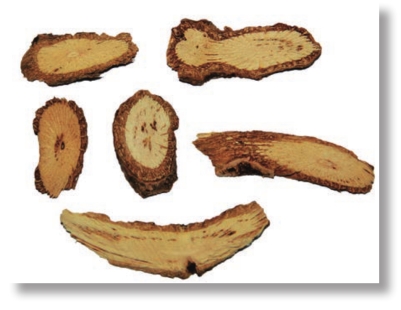 pagenumber_ebook=118,pagenumber_book=105