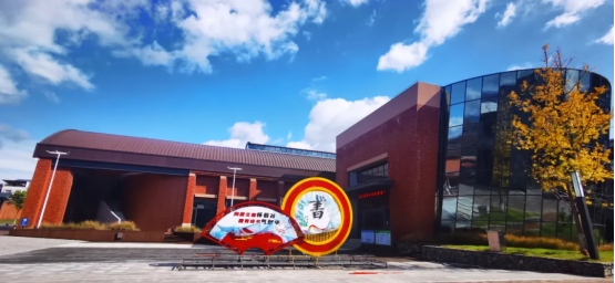 image image.png?v=1770186445315