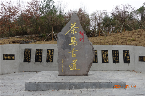 DSC07053 DSC07053.jpg