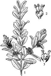 pagenumber_ebook=171,pagenumber_book=171