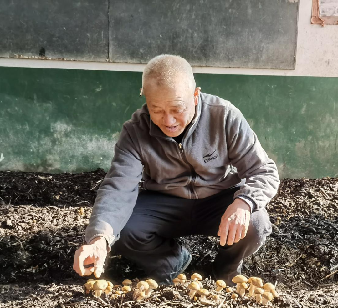 22 22.png?v=1765880584928