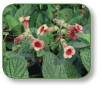 pagenumber_ebook=72,pagenumber_book=59