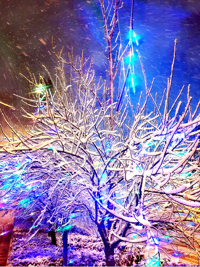 微信图片_20210318091736