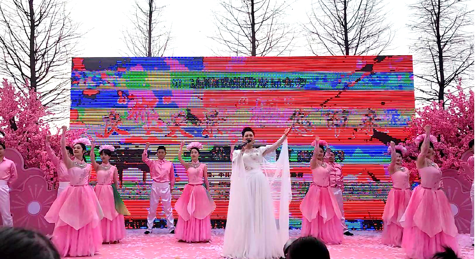 2月16日桂阳樱花园-2 2月16日桂阳樱花园-2.jpg