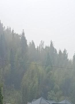 图片 13 图片 13.png