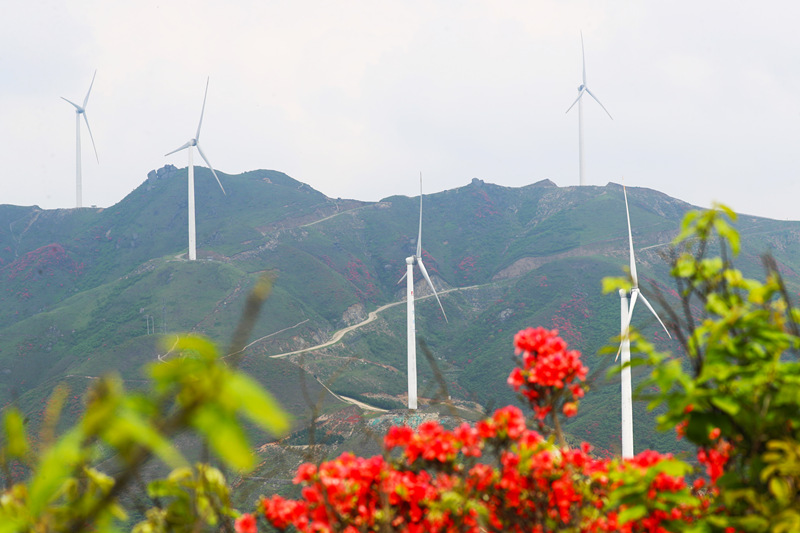 LOCAL202104271506000318950468692