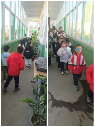 image image.png?v=1763880026093