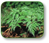 pagenumber_ebook=175,pagenumber_book=162