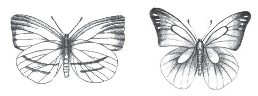 pagenumber_ebook=66,pagenumber_book=50