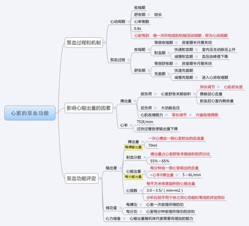 心脏泵血.jpg