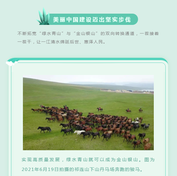 image.png?v=1754275592647