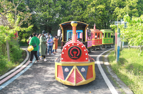 3 3.jpg?v=1765587956102