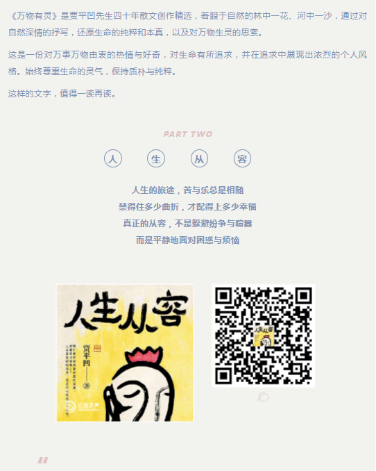 image.png?v=1750227736746