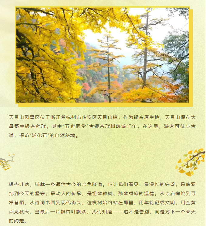 image.png?v=1762073802454