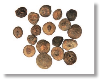 pagenumber_ebook=138,pagenumber_book=125