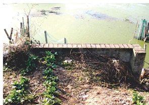 pagenumber_ebook=60,pagenumber_book=45