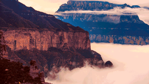 b4be0b04639bcdec8fbf8e03d712c68e_640_wx_fmt=gif&wxfrom=5&wx_lazy=1.gif