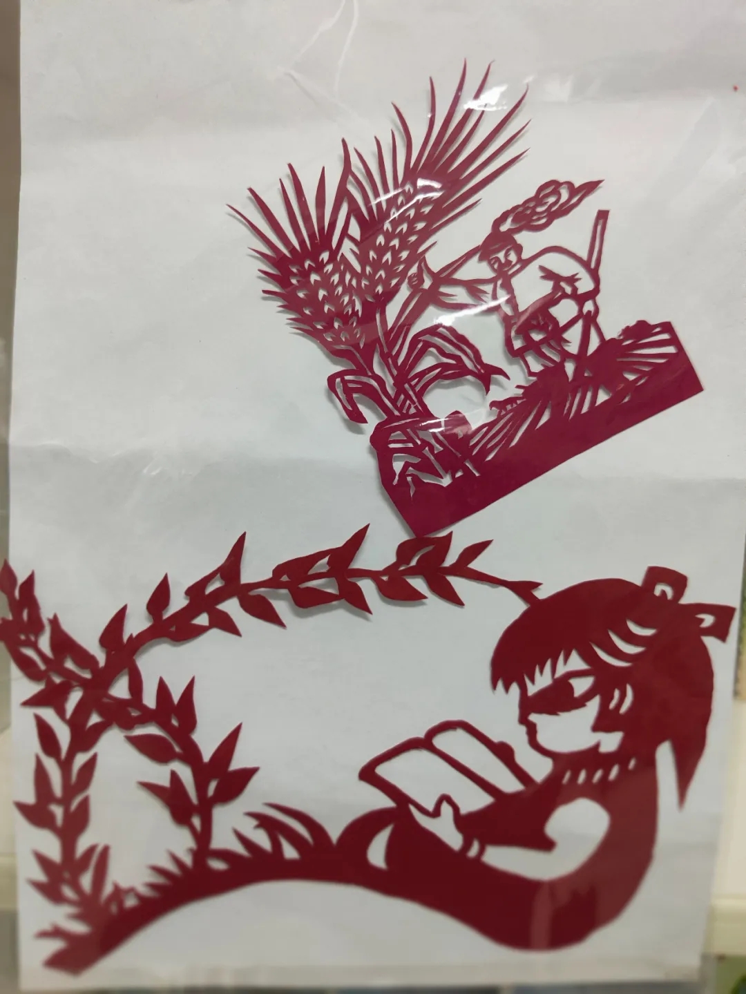 640.webp (10) 640.webp (10).jpg?v=1755656535682