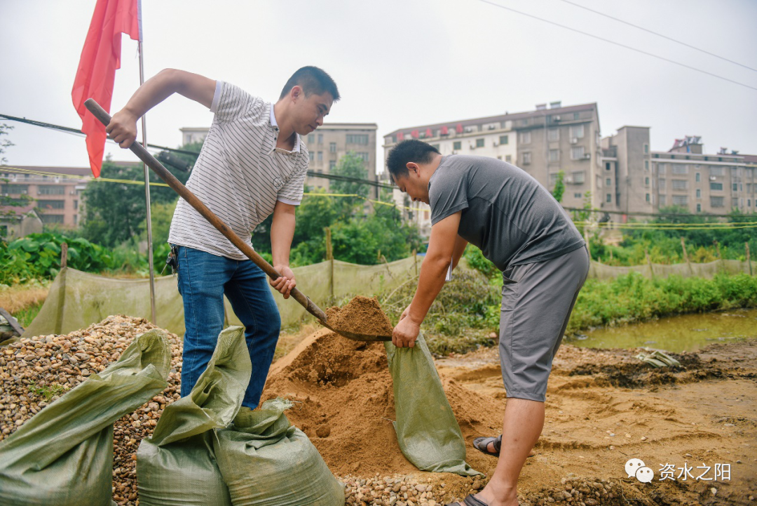 9 9.png?v=1765946446483