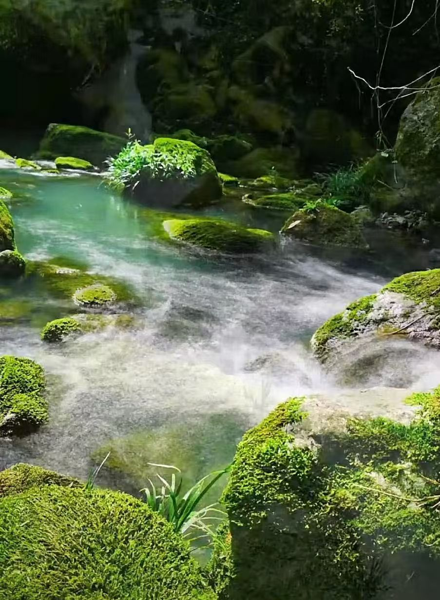 山清水秀的绚丽风光2