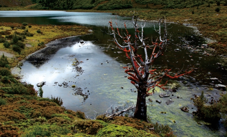 pagenumber_ebook=83,pagenumber_book=71