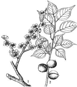 pagenumber_ebook=163,pagenumber_book=163