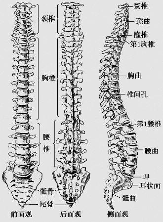 pagenumber_ebook=28,pagenumber_book=15