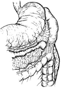 pagenumber_ebook=383,pagenumber_book=368