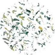 pagenumber_ebook=162,pagenumber_book=162