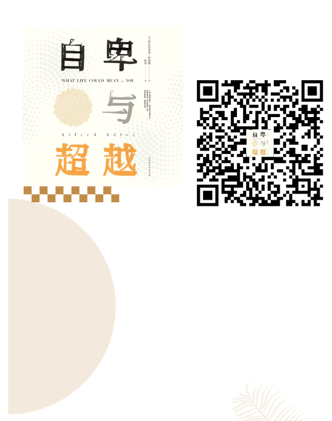 image.png?v=1766278389274