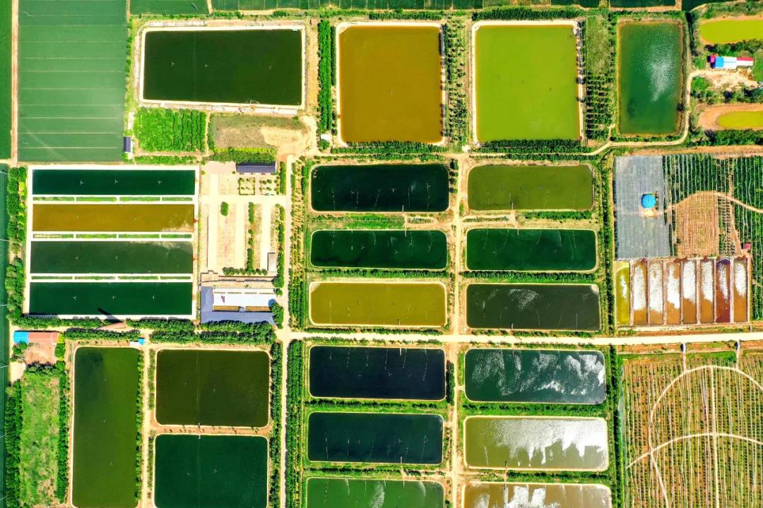 微信图片_20211128110337