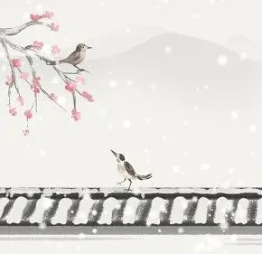 image image.png?v=1770186180176