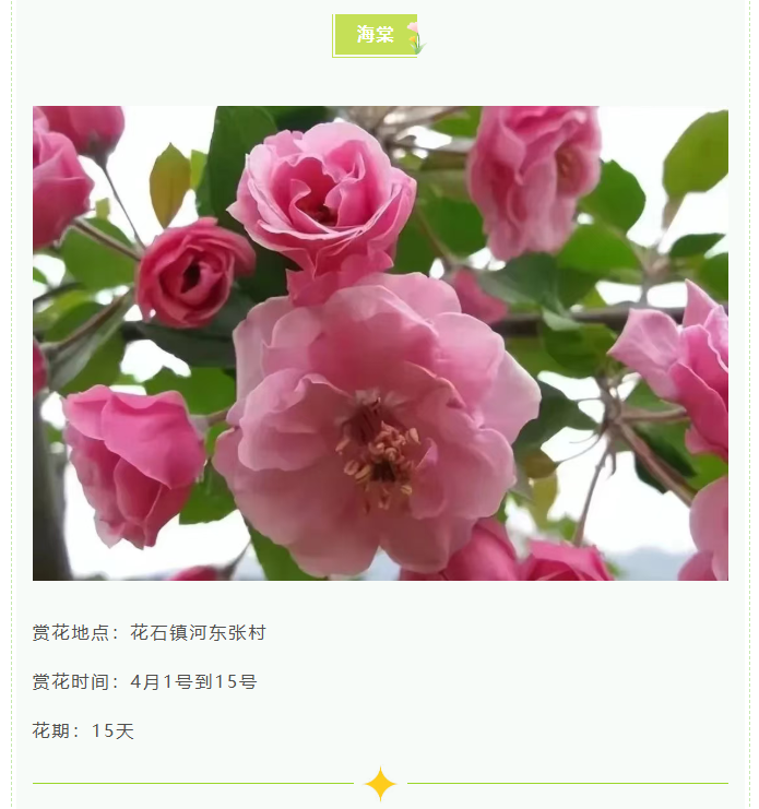 590ed0f566fe35354c83dce6b4e20d48png