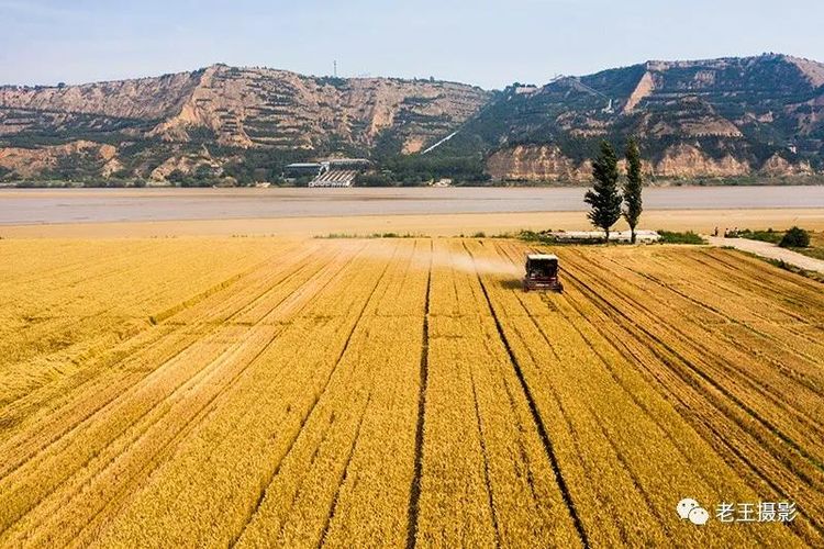 e981f0c0-2430-11ec-9417-0d7e0afbc599 - 副本