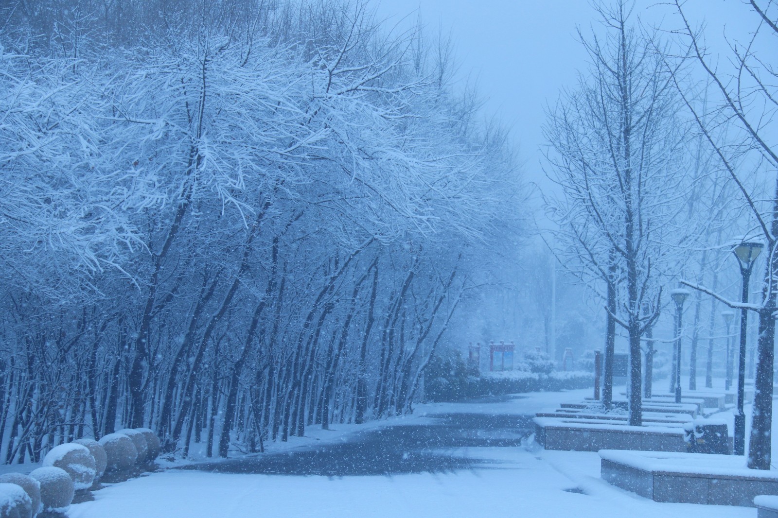 冬天的故事 王殿泽 13938303619