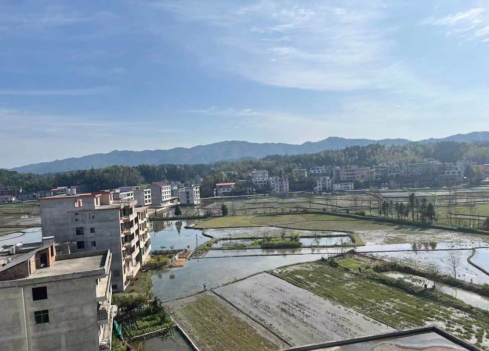 image010 image010.jpg