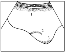 pagenumber_ebook=629,pagenumber_book=629