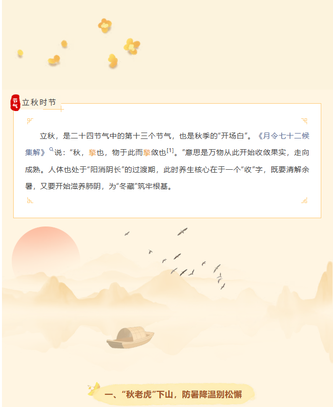 image.png?v=1787520448140