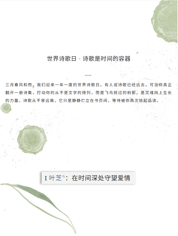 image.png?v=1774105058942