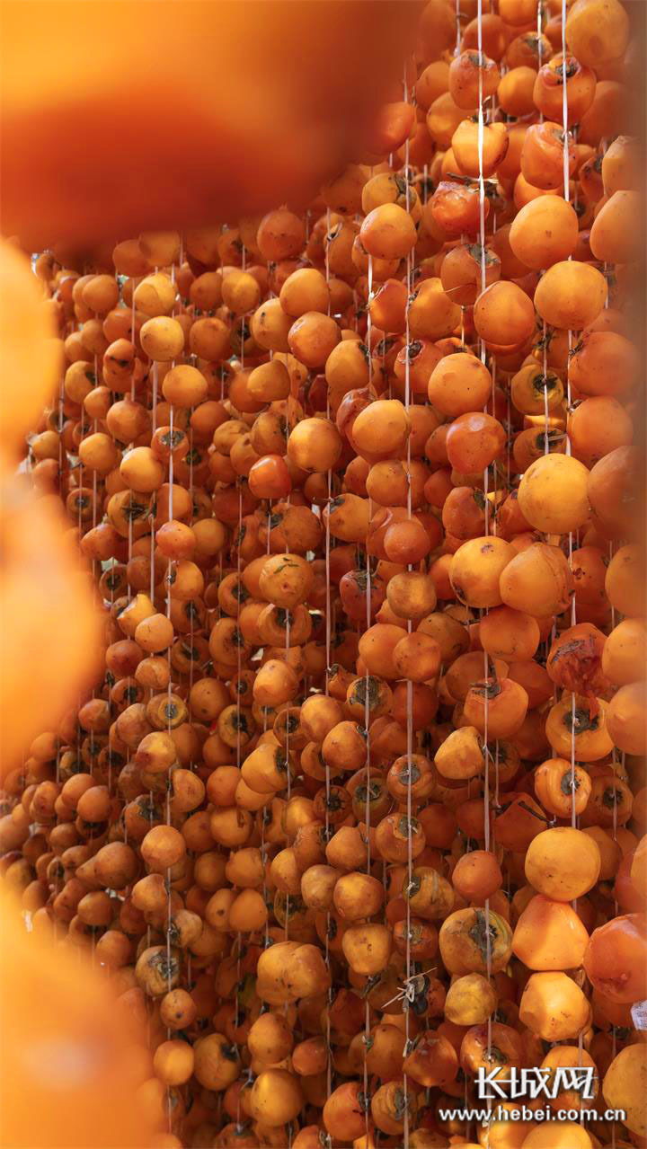 微信图片_20201213104743 微信图片_20201213104743.jpg