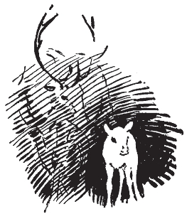 pagenumber_ebook=335,pagenumber_book=327