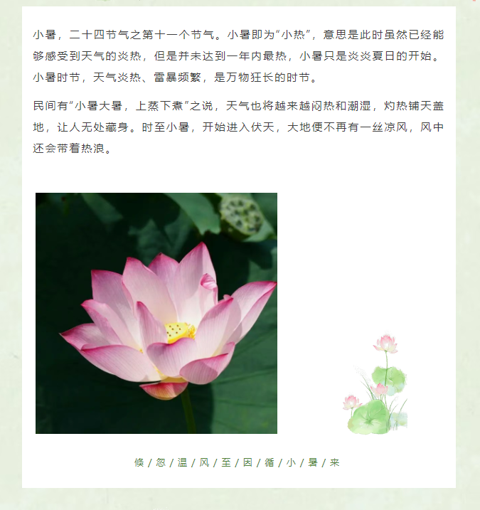 image.png?v=1751535304656