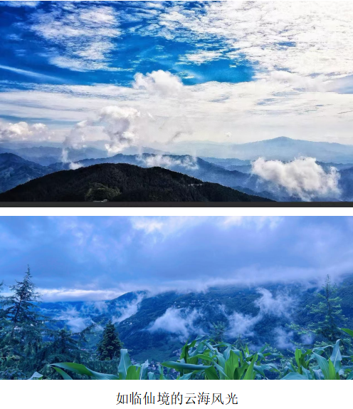 1732190825790 1732190825790.png