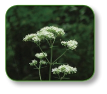 pagenumber_ebook=64,pagenumber_book=51