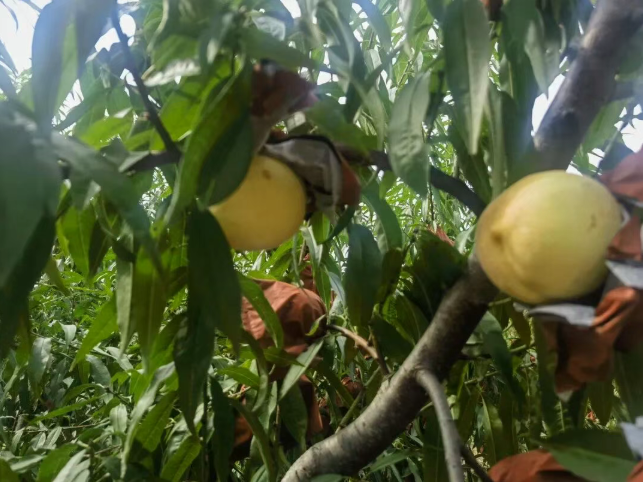 dd8e02d118147719e20f53b857a1fd30 dd8e02d118147719e20f53b857a1fd30.png