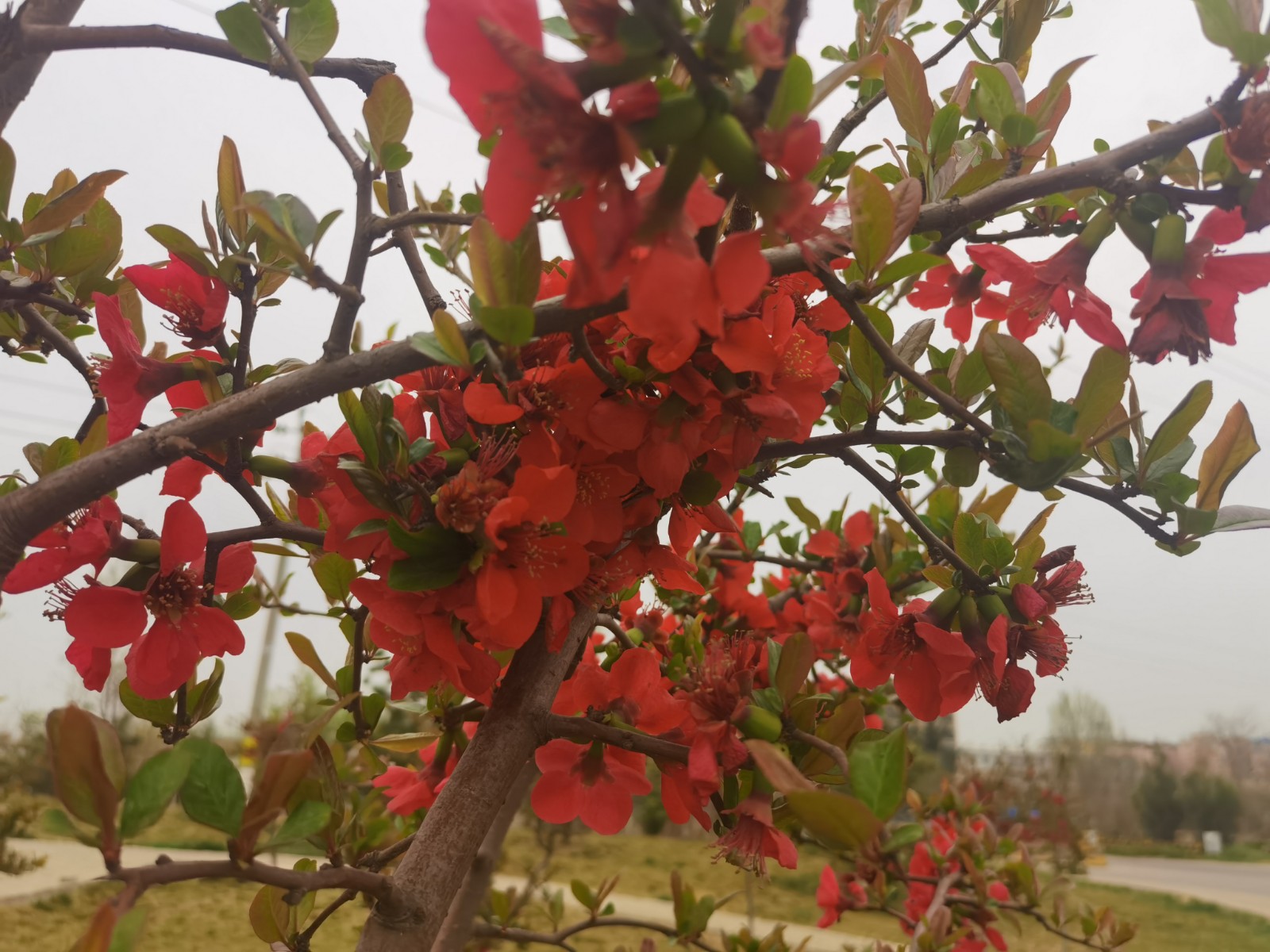 微信图片_2022033108510211